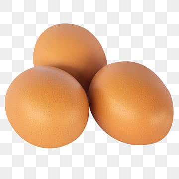 Telur